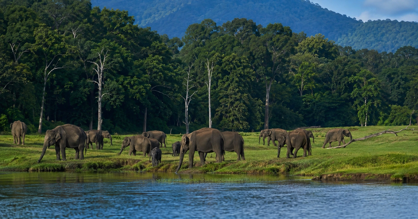 Periyar National Park, Kerala